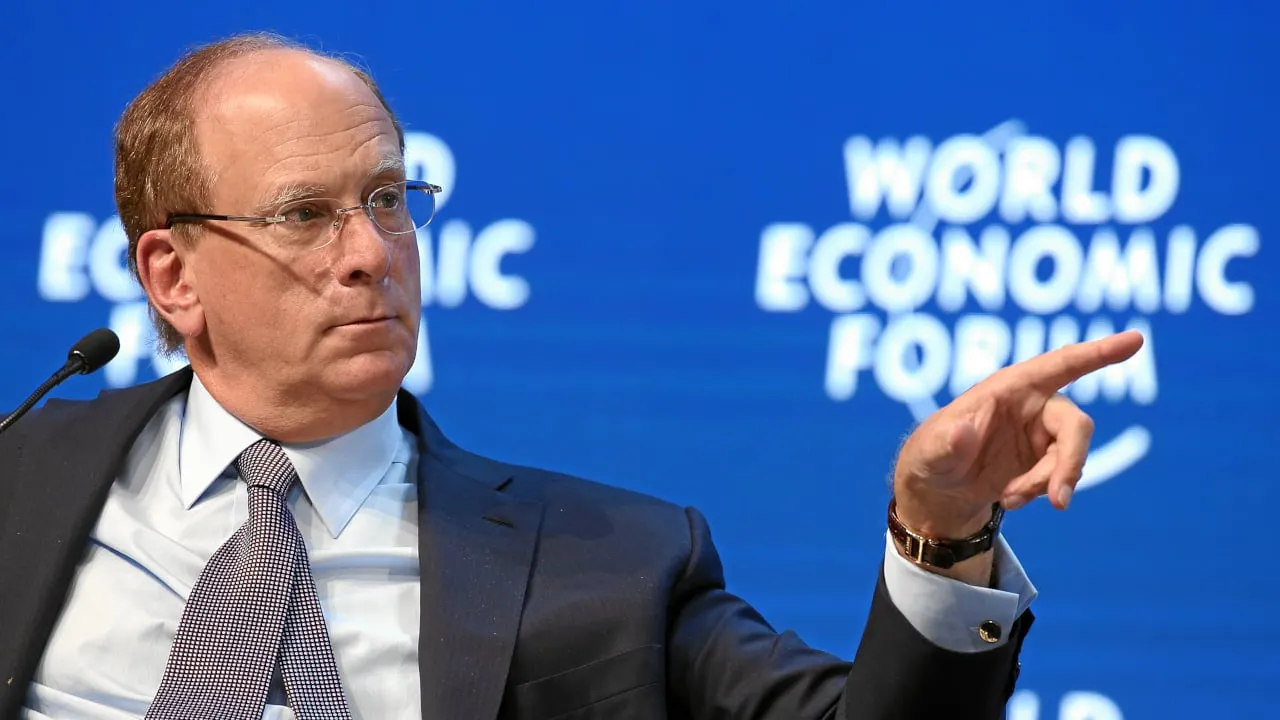 BlackRock CEO Larry Fink. Photo: Flickr/Moritz Hager