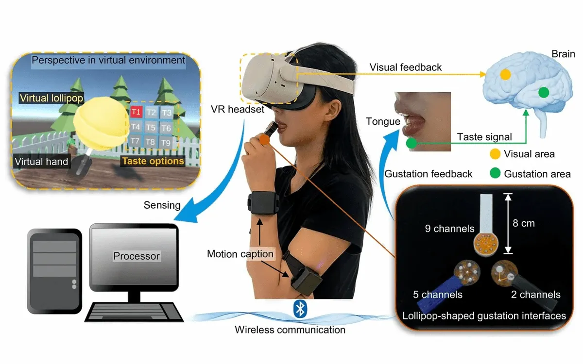 Motion sensors are used to pair the lollipop’s location in the virtual and physical worlds. Liu et al./PNAS