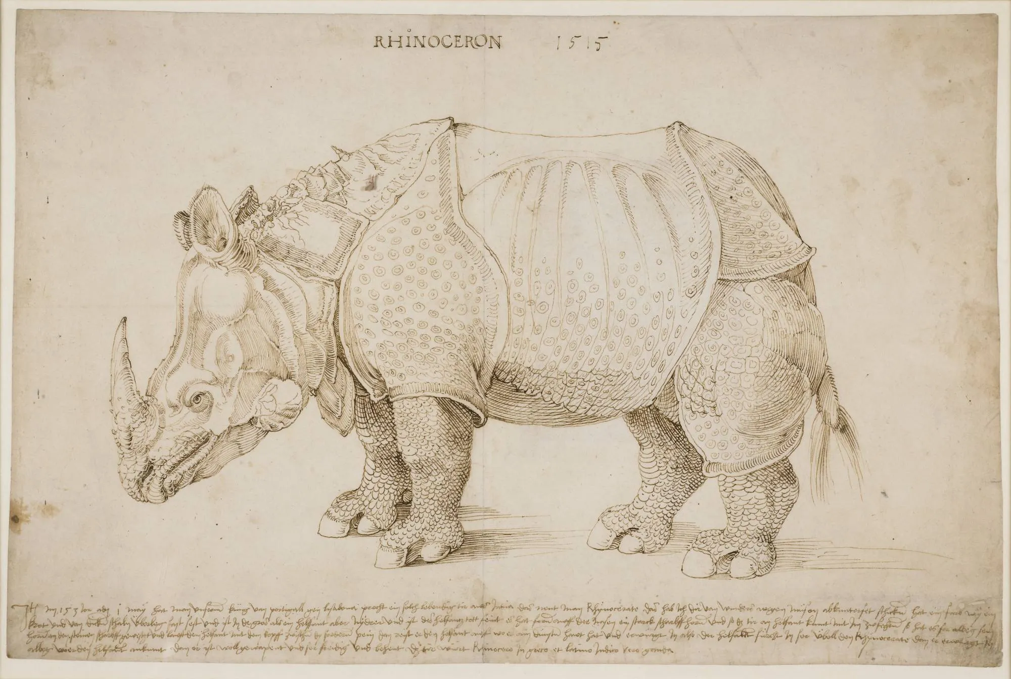 Albrecht Du%CC%88rer The Rhinoceros 1515 pen and brown ink 27.4 x 42 cm %C2%A9 The Trustees of the British Museum London 1
