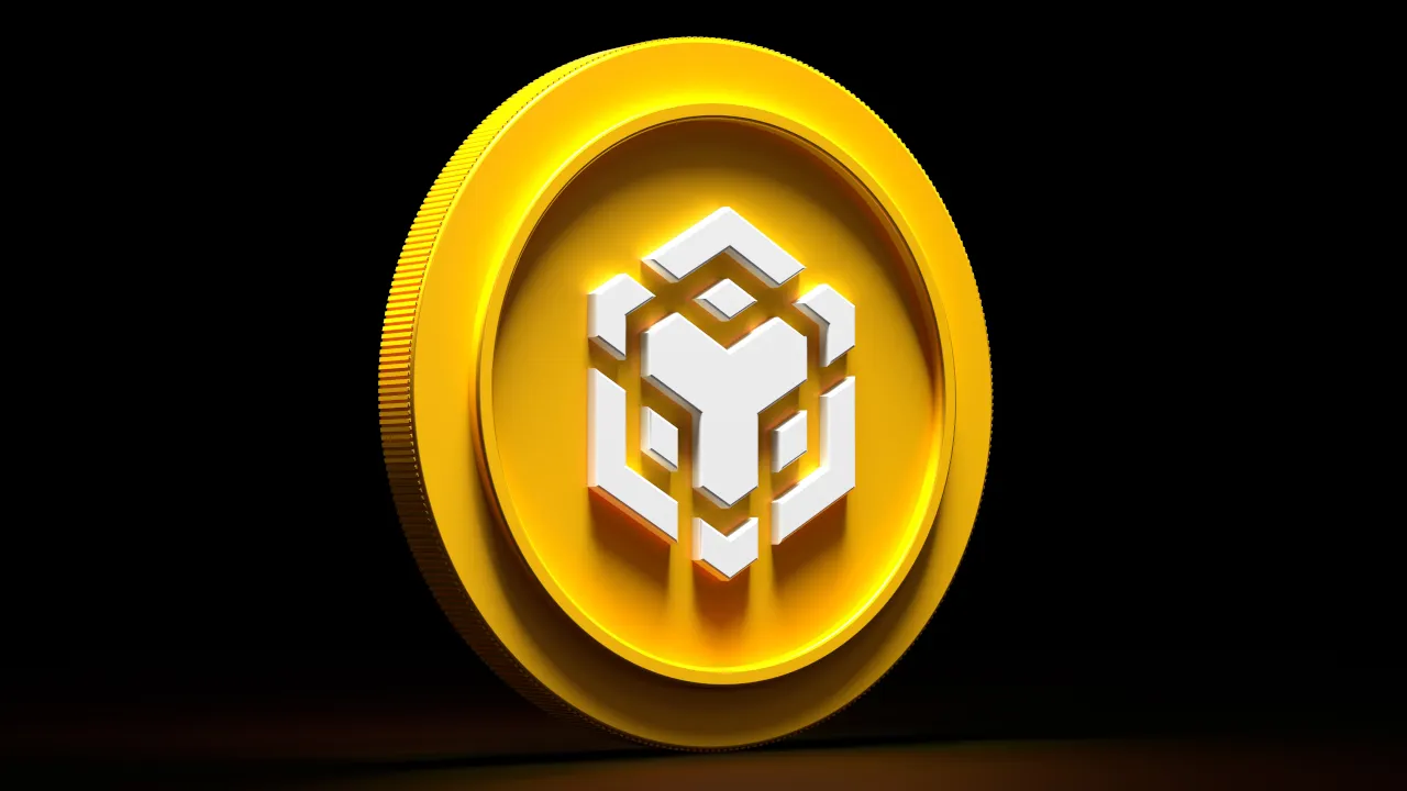 BNB is the native token of BNB Chain. Image: Shutterstock