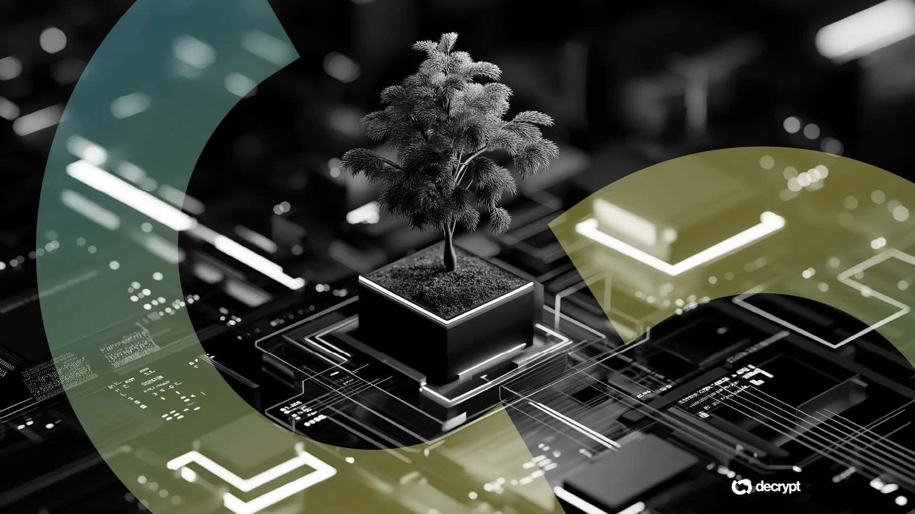 AI rendition with a small tree. Image: Decrypt
