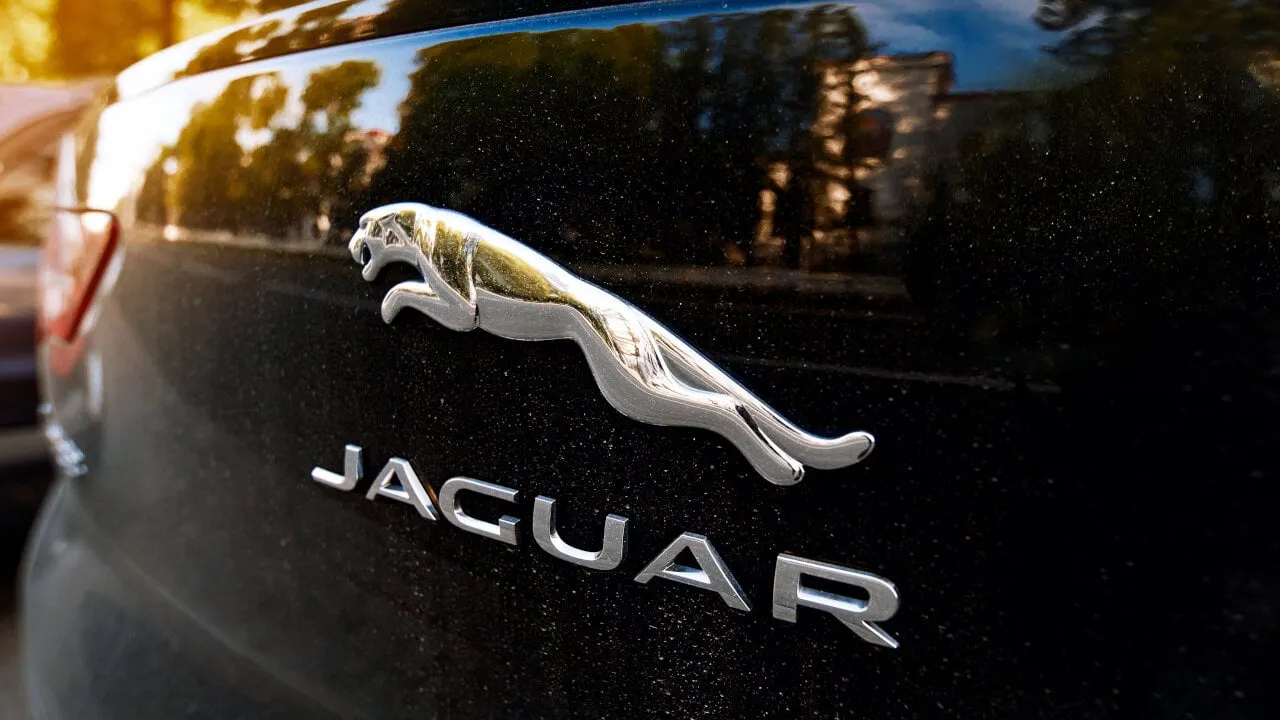 Jaguar, Bitcoin Treasury, ECD