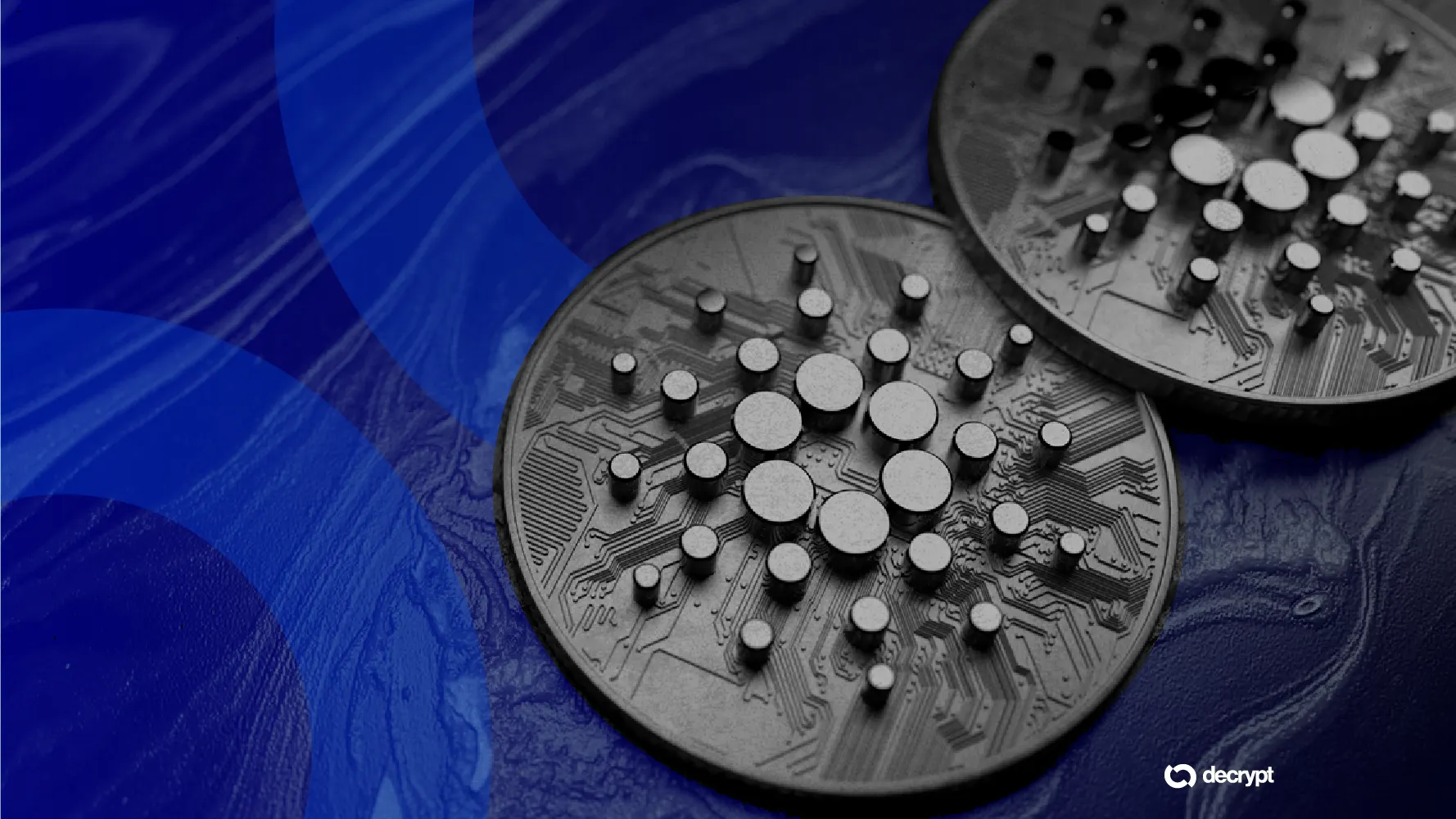 Cardano. Image: Shutterstock/Decrypt