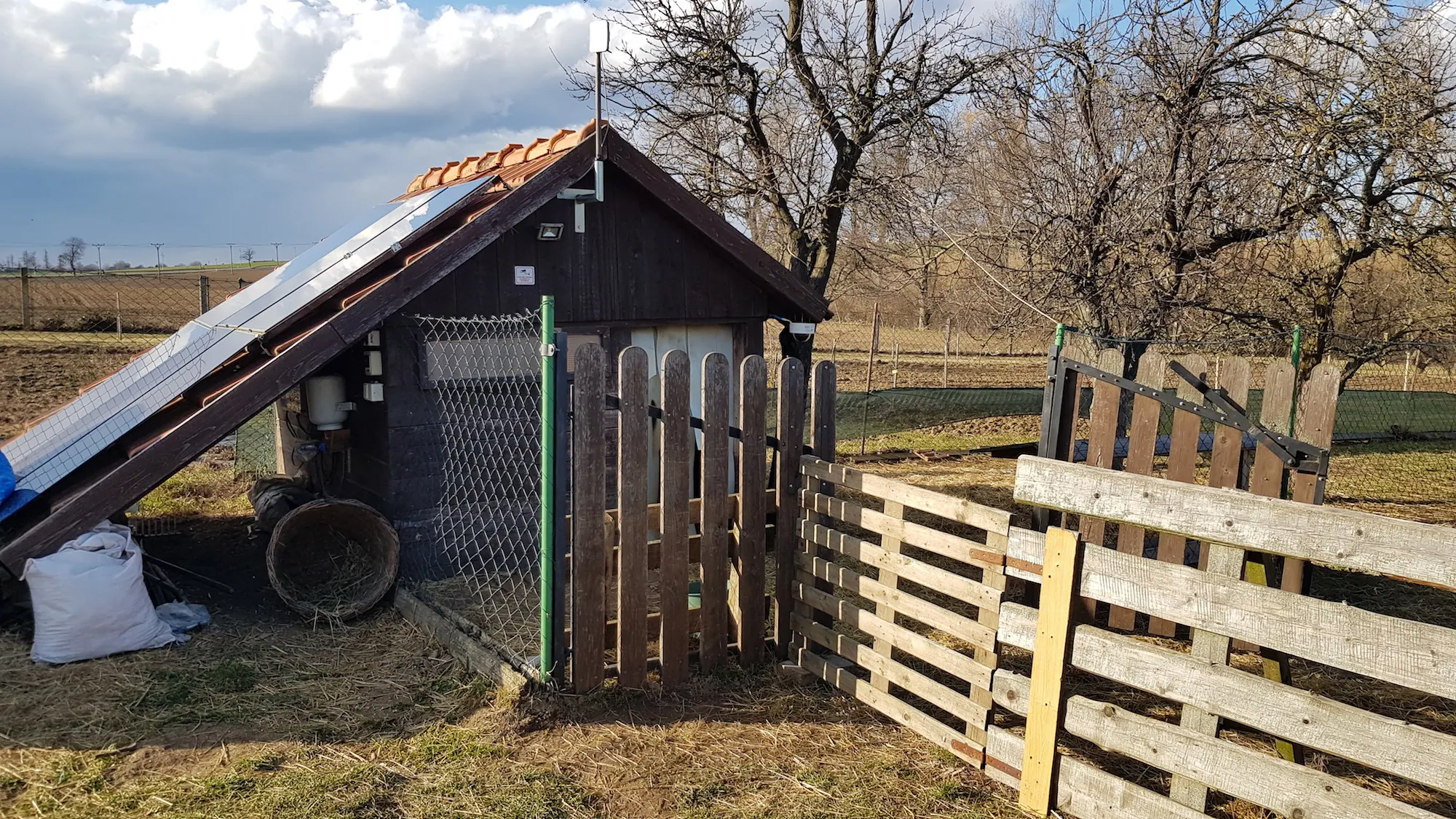 sheep shed