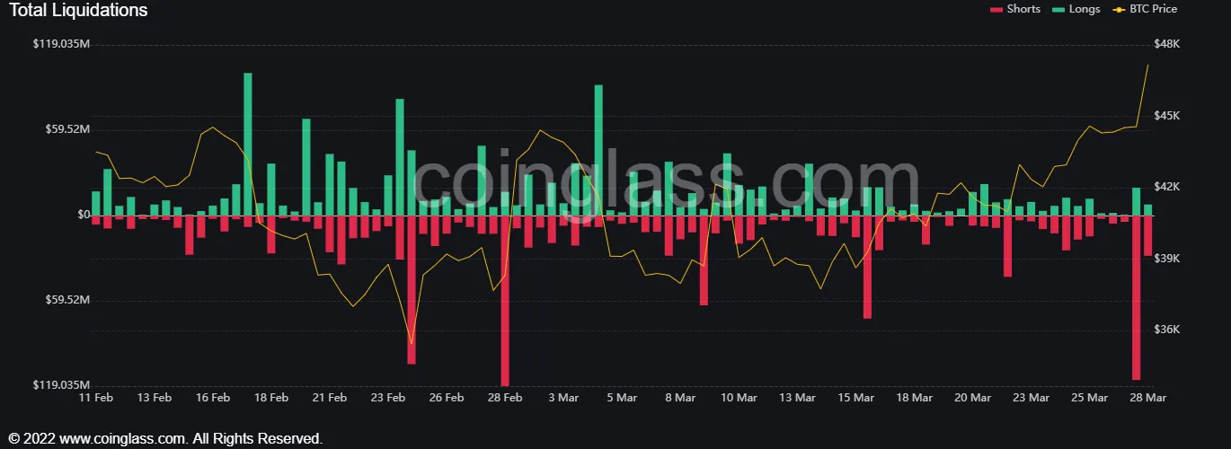 Graph showing liquidated shorts and longs for Bitcoin. 