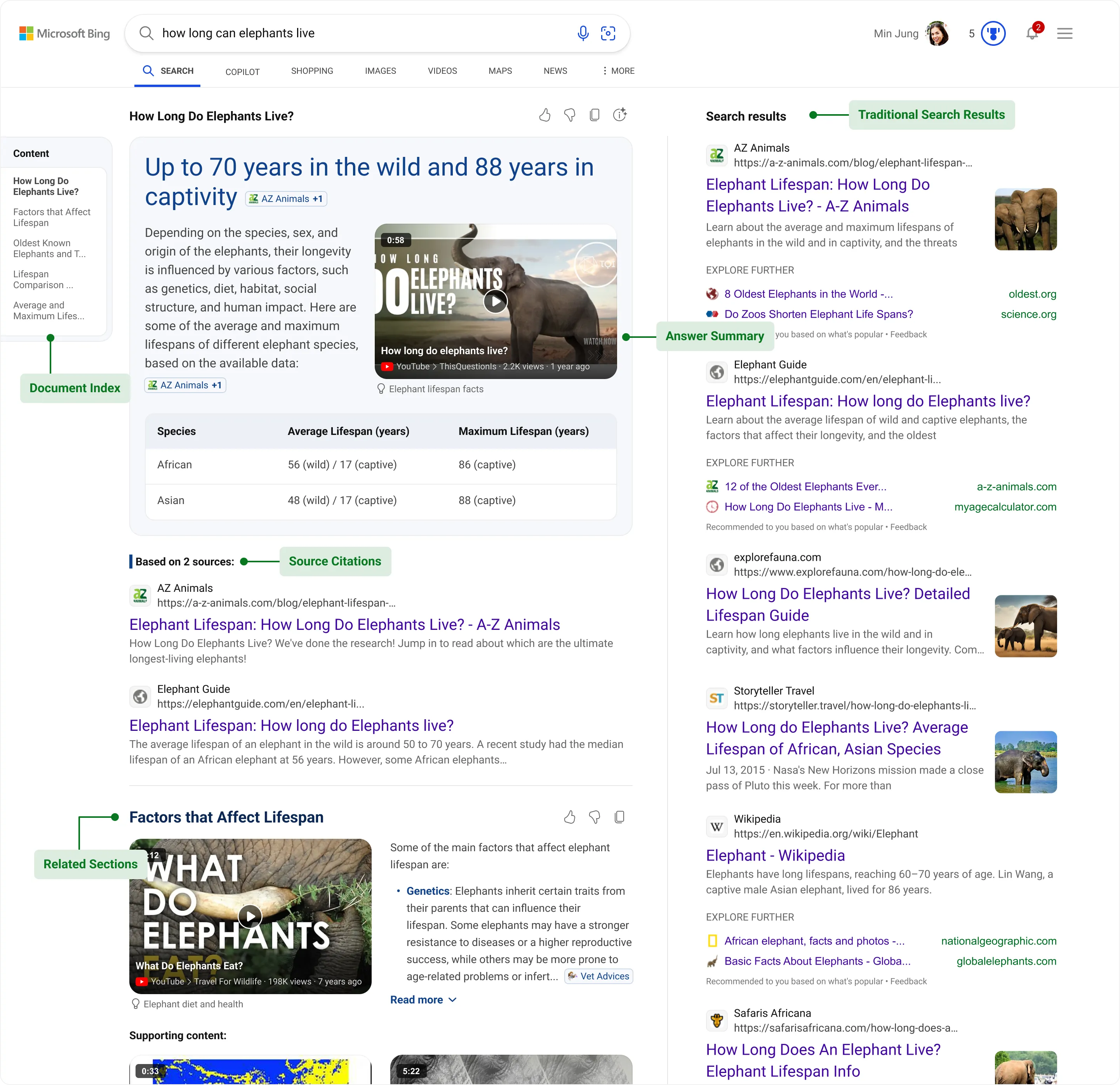 Bing AI Search