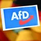 Will the AfD be part of the next German federal government? thumbnail