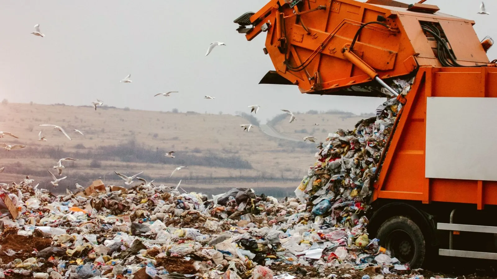 Welsh Man Loses Legal Battle to Recover 8,000 BTC From Landfill Over Environmental Concerns