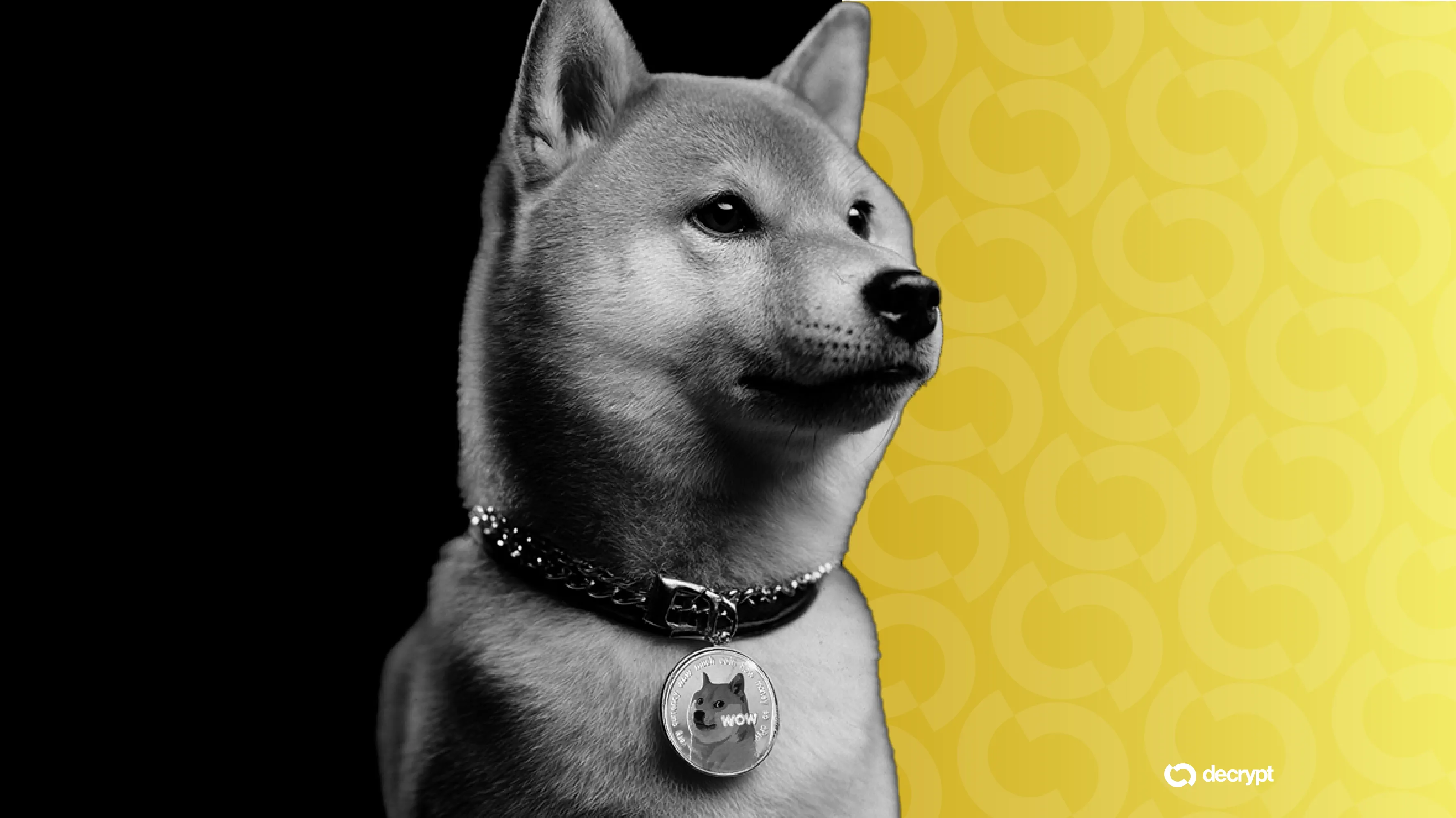 Coinbase Agrees to $2 Million Settlement to End Dogecoin Sweepstakes Lawsuit