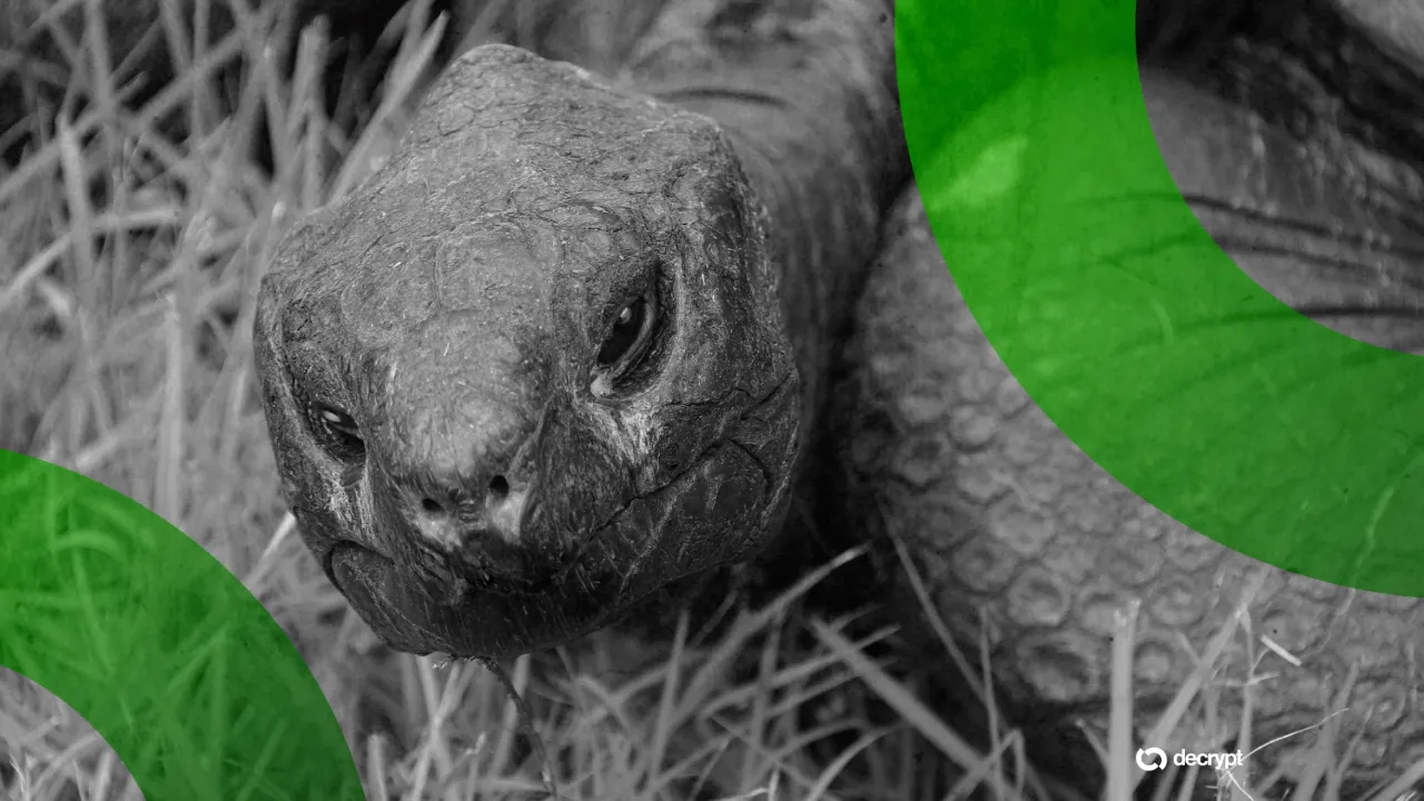 Viral Hoax Falsely Claims Death of 193-Year-Old Tortoise Jonathan